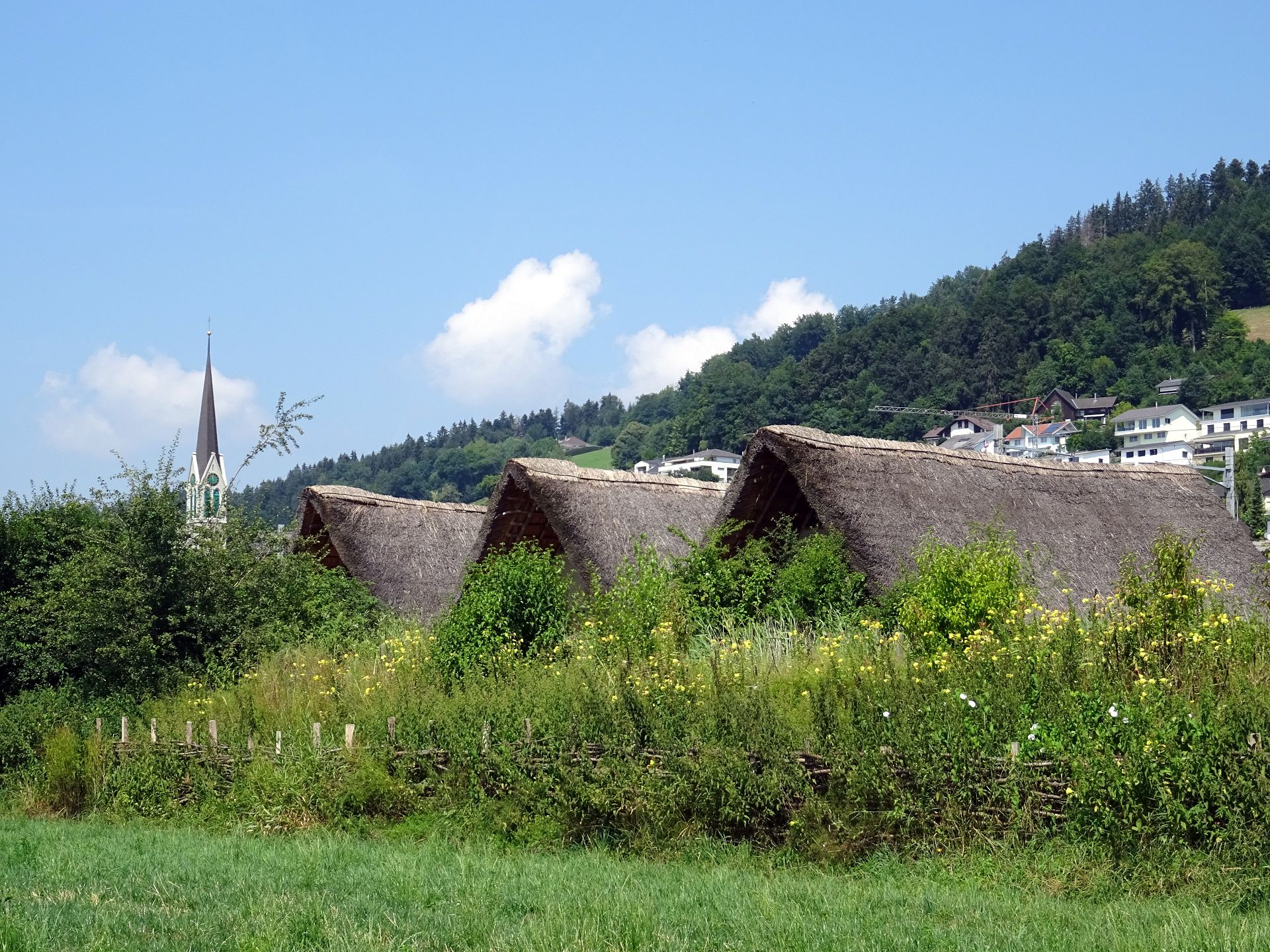 Wauwil